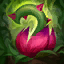 thorn paradise