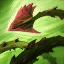 root of capture